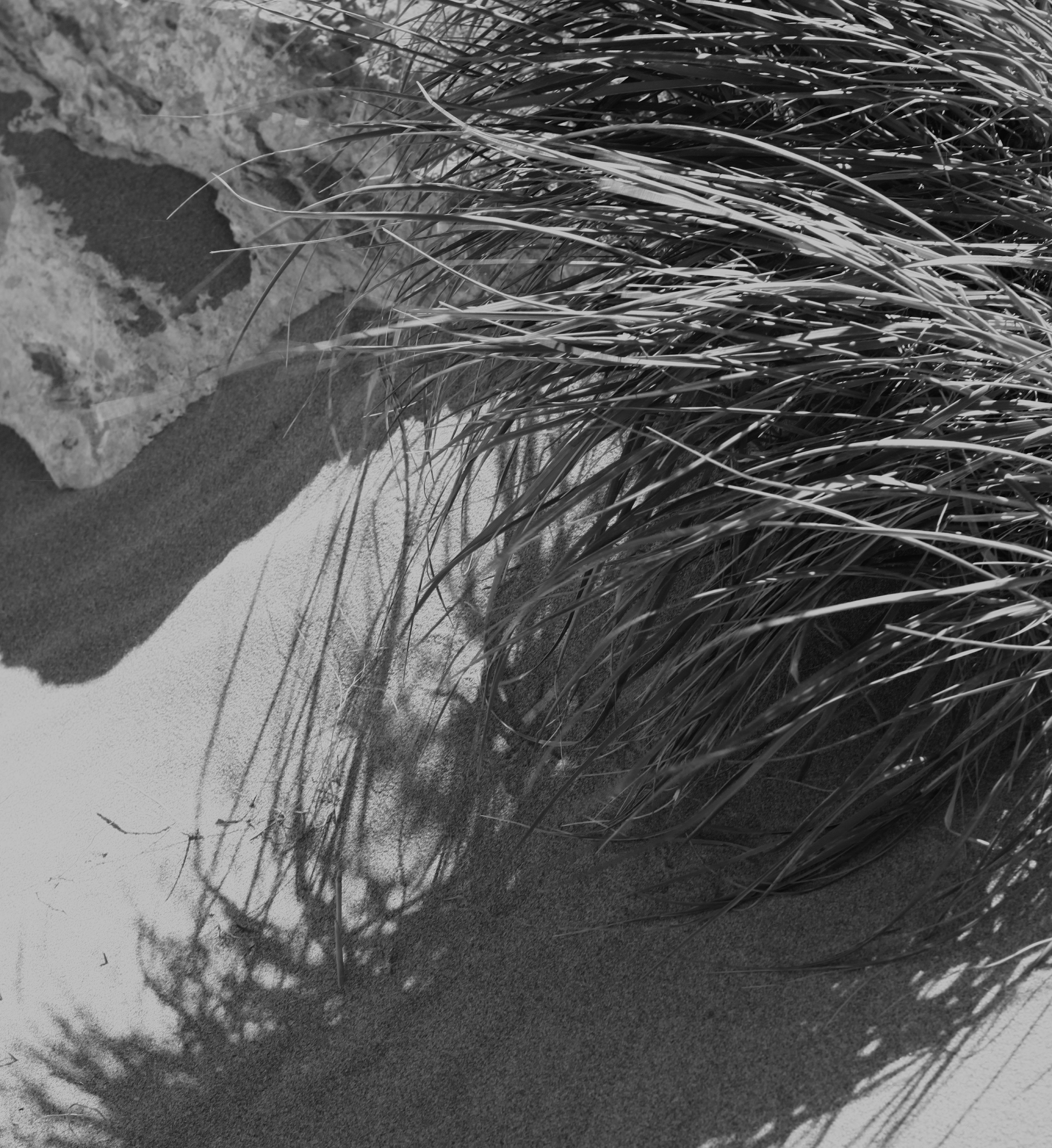 Anja Schröder Kosmetik